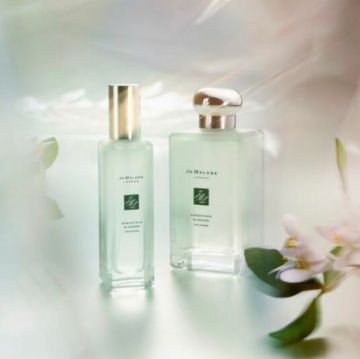 Picture of Jo Malone Osmanthus Cologne Cologne  Blossoms Collection