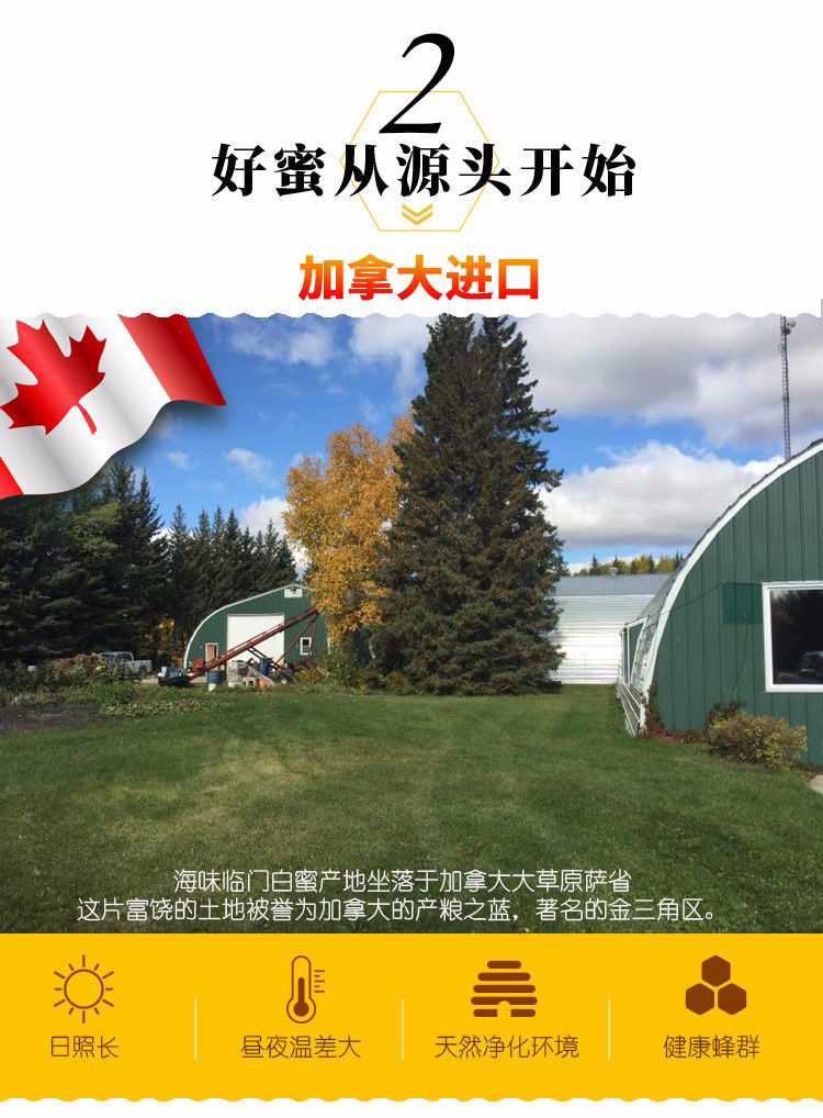 CC Mall 大溫寄物平台 Golden Bee Prairie Raw Honey 1kg