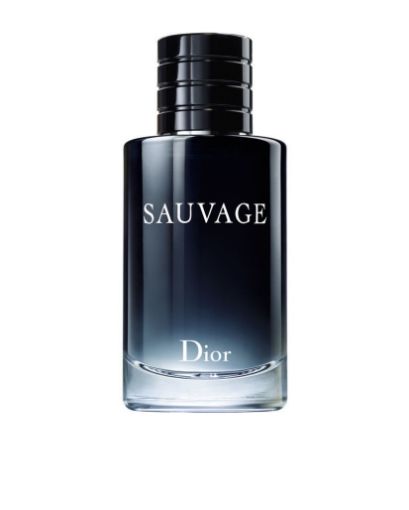 圖片 Dior迪奥Sauvage清新之水旷野男士淡香水 100ml