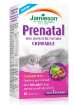 Picture of Jamieson 100% Complete Chewable Prenatal Multivitamin -60 Tablets