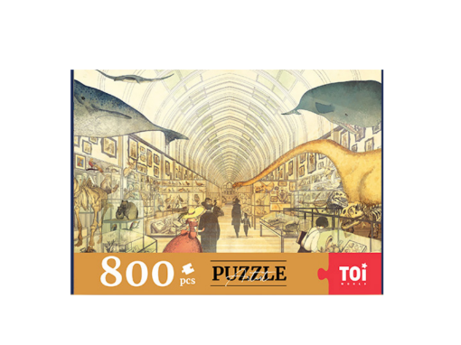 Picture of TOI museum 800PC