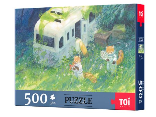 Picture of TOI In the spring 500PC