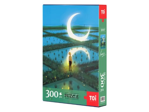 Picture of TOI childhood dream 300PC