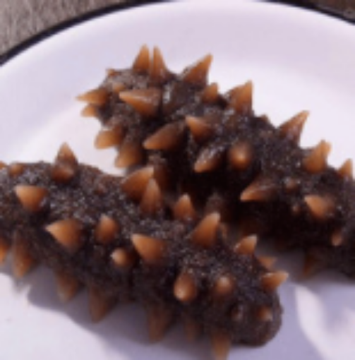 Picture of 【Walk in】西洋参