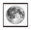 Picture of TOI Acrylic Moon Table 71pc