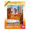 Picture of TOI Romantic City Series - "Central Park" 1000pc