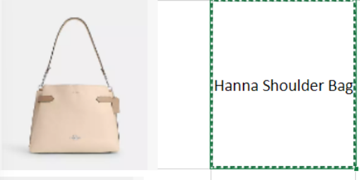 图片  Hanna Shoulder Bag