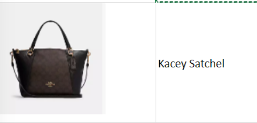 Picture of Kacey Satchel