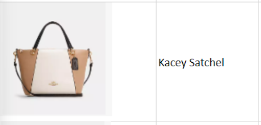 Picture of Kacey Satchel