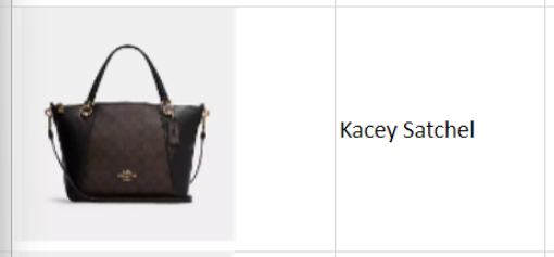 Picture of Kacey Satchel 