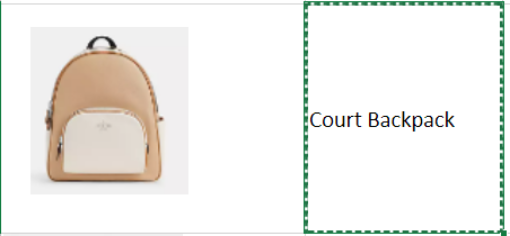 Picture of Court Backpack