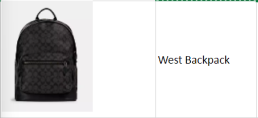 Picture of West Backpack 