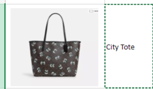 Picture of City Tote