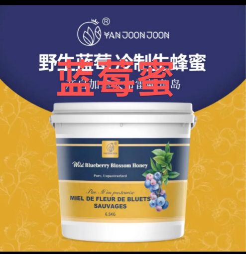 图片  【Walk in】Yanjoonjoon 蓝莓蜂蜜 6.5kg 
